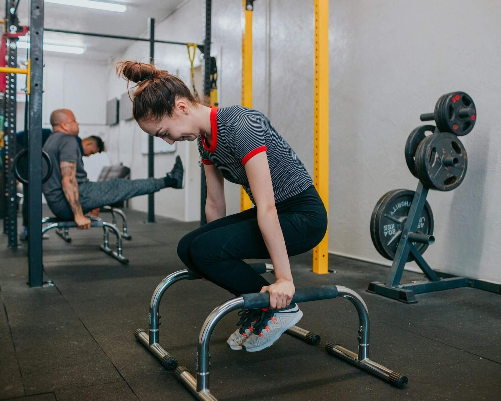 sistema imunológico